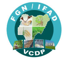 VCDP Logo